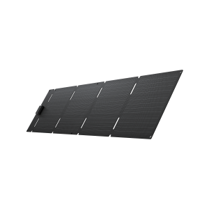 EcoFlow 60W Portable Solar Panel